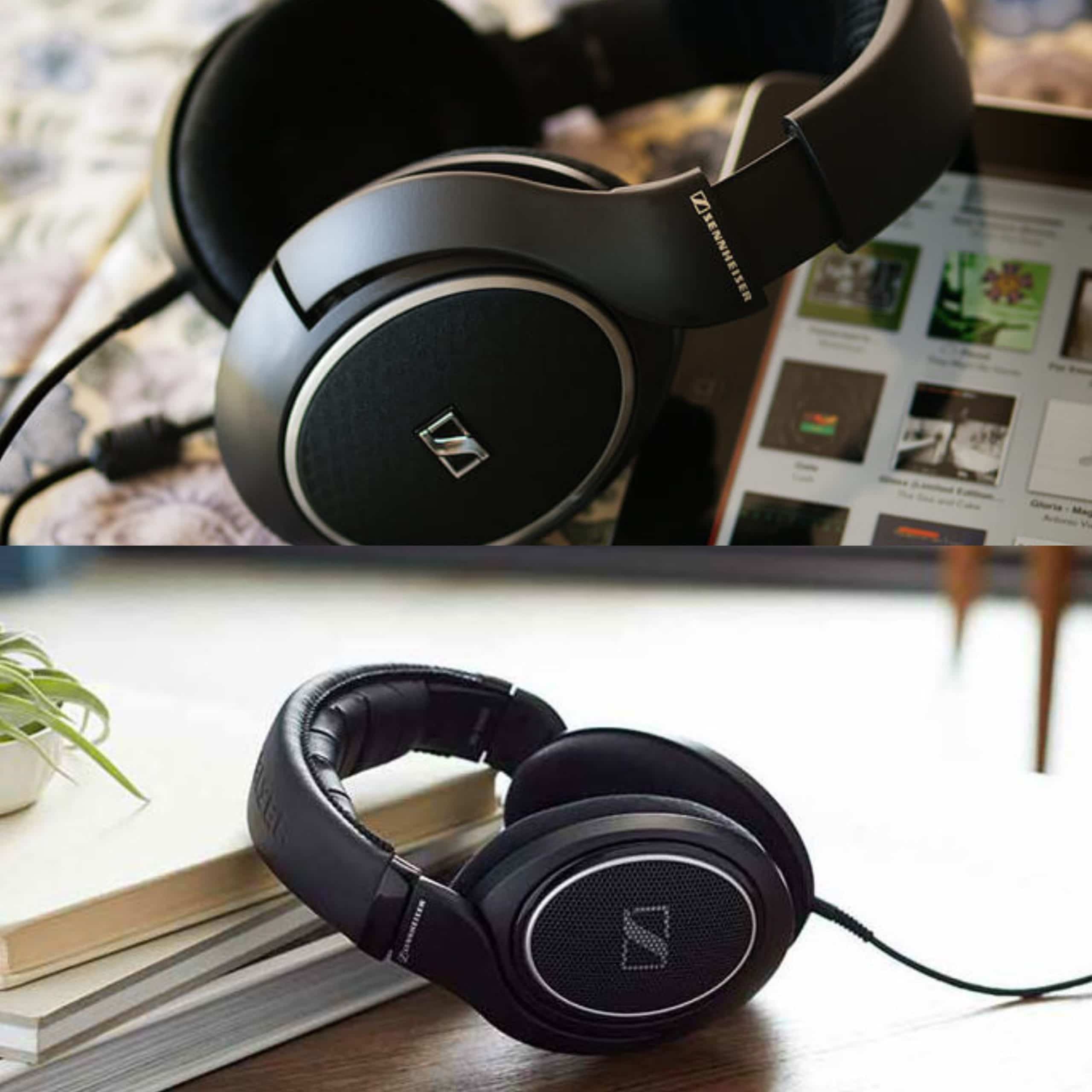 Sennheiser HD558 vs HD598