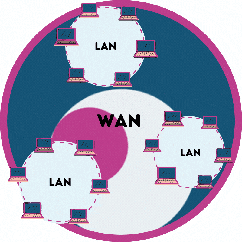 Lan vs Wan Animation